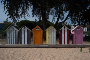 Enlèvement arbre urgence La Seyne-sur-Mer